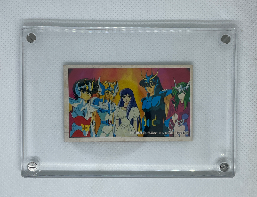Vintage Caballeros del Zodíaco