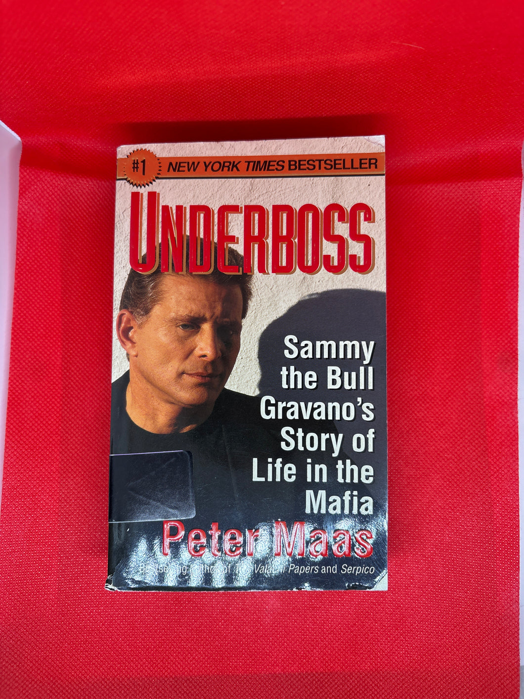 USED Paperback Book Underboss Sammy the Bull